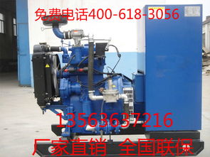 40kW濰柴柴油發電機出售 性能可靠，價格透明，配件廠家直供